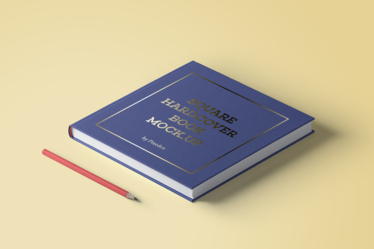 Phasellus ullamcorper felis cursus mollis egestas ultrices